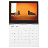 Verbluffende duiven kalender (Mar 2026)