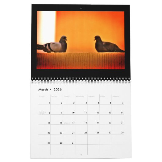 Verbluffende duiven kalender (Mar 2026)