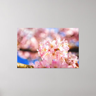 Verbluffende en geweldige roze Sakura-bloemen in d Canvas Afdruk
