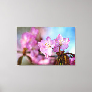 Verbluffende en geweldige Sakura-bloemen in de len Canvas Afdruk