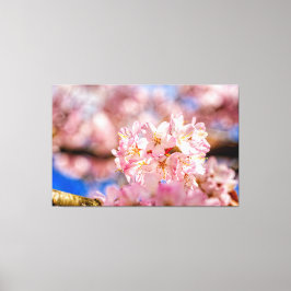 Verbluffende en ongelofelijke roze Sakura-bloesems Canvas Afdruk