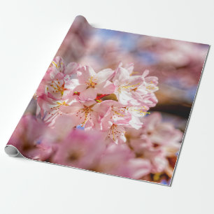 Verbluffende en verbluffende roze Sakura-bloemen Cadeaupapier
