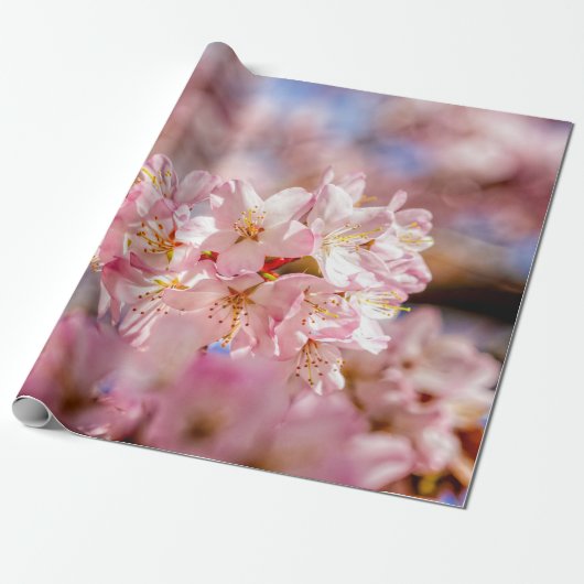 Verbluffende en verbluffende roze Sakura-bloemen Cadeaupapier (Uitgerold)