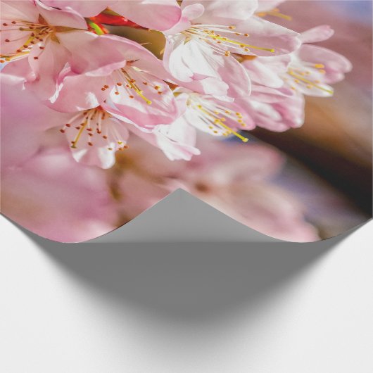 Verbluffende en verbluffende roze Sakura-bloemen Cadeaupapier (Hoek)