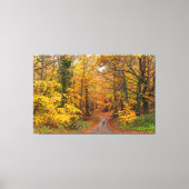 Verbluffende Engelse herfstkleuren met pad Canvas Afdruk (Voorkant)