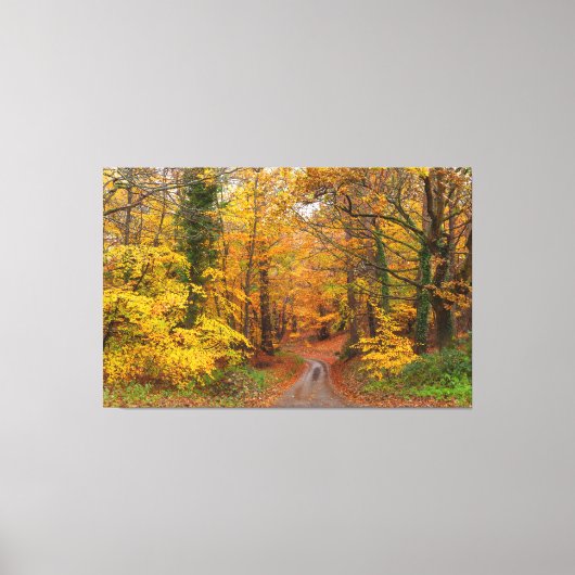 Verbluffende Engelse herfstkleuren met pad Canvas Afdruk (Voorkant)