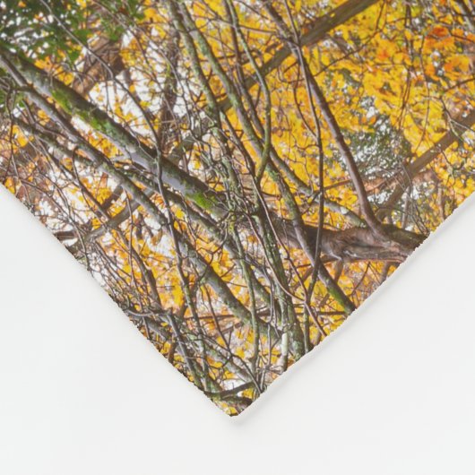 Verbluffende Engelse herfstkleuren met pad Fleece Deken (Hoek)