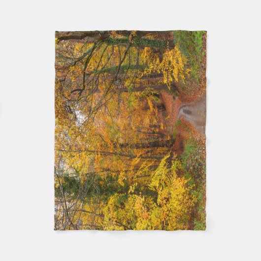 Verbluffende Engelse herfstkleuren met pad Fleece Deken (Voorkant)
