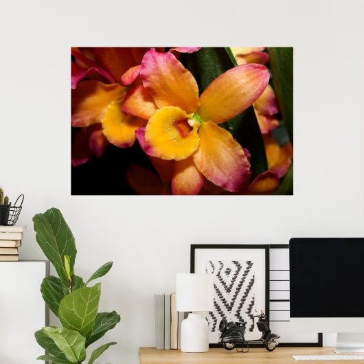 Verbluffende exotische orchidee Poster (Thuiskantoor)