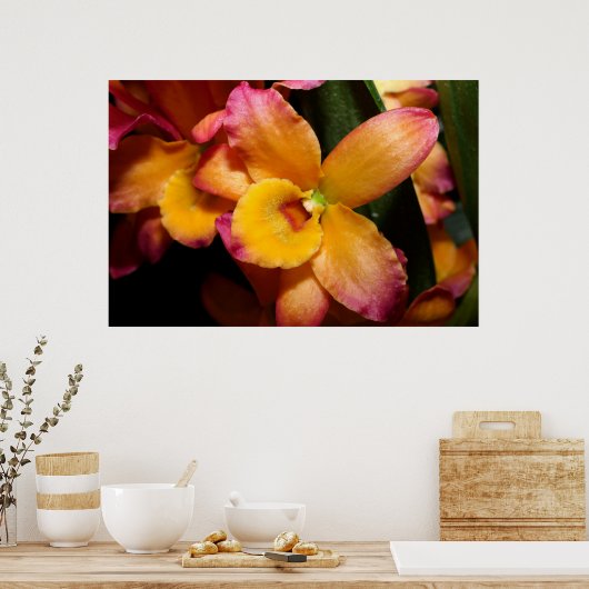 Verbluffende exotische orchidee Poster (Keuken)