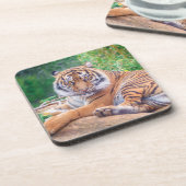 Verbluffende foto van tijger bier onderzetter (Linkerzijde)