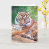 Verbluffende foto van tijger kaart (Gele Bloem)