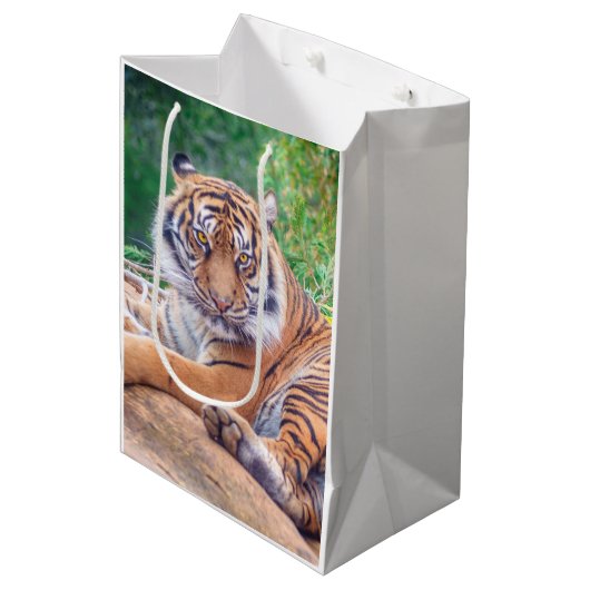 Verbluffende foto van tijger medium cadeauzakje (Voorkant Gekanteld)