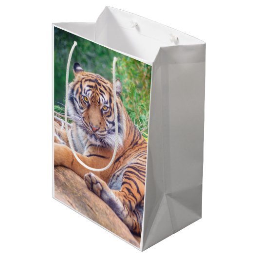 Verbluffende foto van tijger medium cadeauzakje (Achterkant Gekanteld)