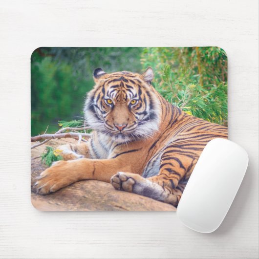 Verbluffende foto van tijger muismat (Met muis)