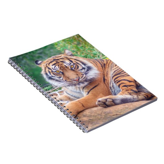 Verbluffende foto van tijger notitieboek (Rechterzijde)