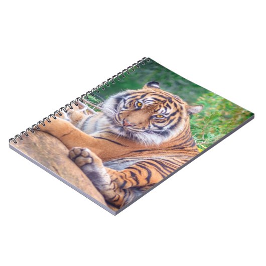 Verbluffende foto van tijger notitieboek (Linkerzijde)