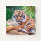 Verbluffende foto van tijger notitieboek (Achterkant)