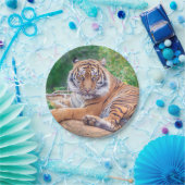 Verbluffende foto van tijger papieren bordje (Feest)