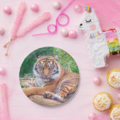 Verbluffende foto van tijger papieren bordje (Feest)