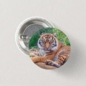 Verbluffende foto van tijger ronde button 3,2 cm (Voorkant /achterkant)