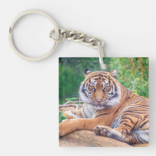 Verbluffende foto van tijger sleutelhanger