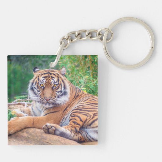 Verbluffende foto van tijger sleutelhanger (Achterkant)