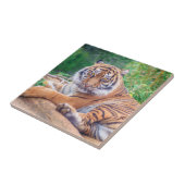 Verbluffende foto van tijger tegeltje (Zijkant)