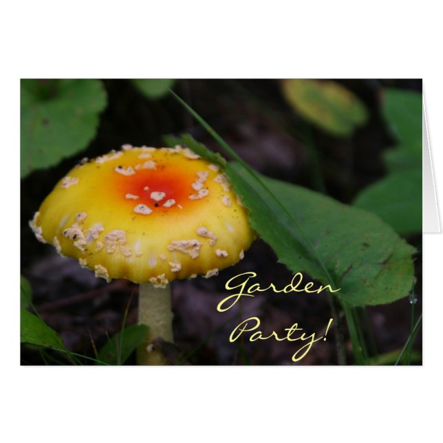 Verbluffende gele paddenstoel (Voorkant Horizontaal)