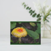 Verbluffende gele paddenstoel briefkaart (Staand voorkant)