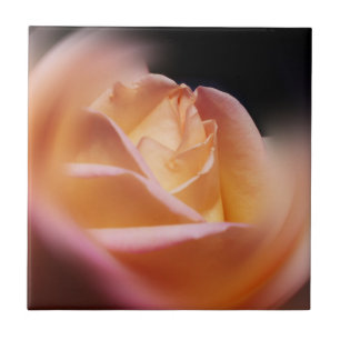 Verbluffende gele rozenventilator tegeltje