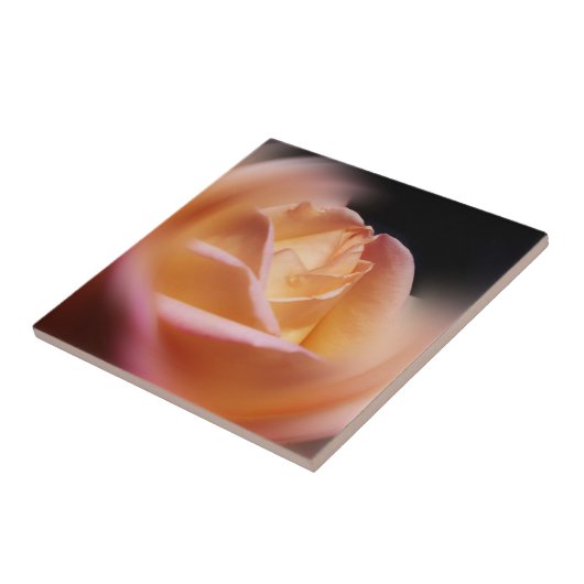 Verbluffende gele rozenventilator tegeltje (Zijkant)