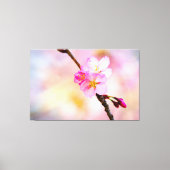 Verbluffende groep Sakura-bloemen in het voorjaar Canvas Afdruk (Voorkant)