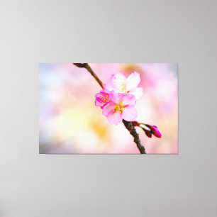 Verbluffende groep Sakura-bloemen in het voorjaar Canvas Afdruk