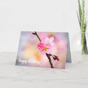 Verbluffende groep Sakura-bloemen in het voorjaar Kaart