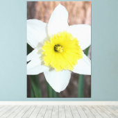 Verbluffende grote narcis canvas afdruk (Insitu (Houten vloer))