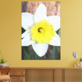 Verbluffende grote narcis canvas afdruk (Insitu (Woonkamer))