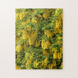Verbluffende gulden keten/laburnum boom legpuzzel