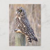 Verbluffende hap met woeste hengel briefkaart (Voorkant)