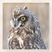 Verbluffende havermout in moerassen glazen onderzetter (Voorkant)