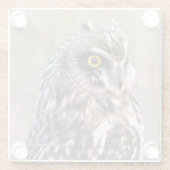 Verbluffende havermout in moerassen glazen onderzetter (Achterkant)