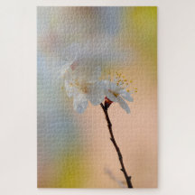 Verbluffende Japanse prijsbloemen