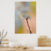 Verbluffende Japanse prijsbloemen Poster (Keuken)