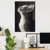 Verbluffende jonge kitten side uitzicht portret ui poster (Thuiskantoor)