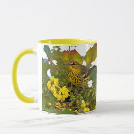 Verbluffende Kaap May Warbler Songbird op Mahonia Mok (Links)