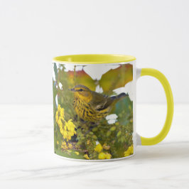 Verbluffende Kaap May Warbler Songbird op Mahonia Mok