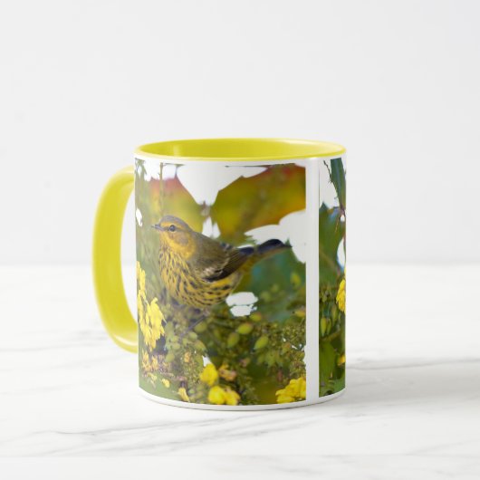 Verbluffende Kaap May Warbler Songbird op Mahonia Mok (Voorkant links)