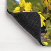 Verbluffende Kaap May Warbler Songbird op Mahonia Muismat (Hoek)