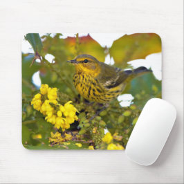 Verbluffende Kaap May Warbler Songbird op Mahonia Muismat