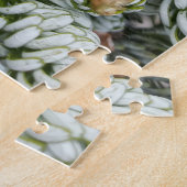 Verbluffende kleren aan Dwarf Koreaans Fir Legpuzzel (Zijkant)